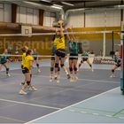 Impressionen vom Volleyball