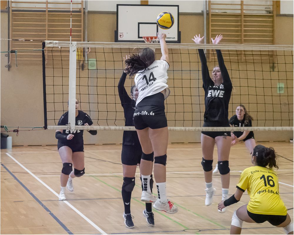 Impressionen vom Volleyball Foto & Bild indoor, halle, frauen Bilder