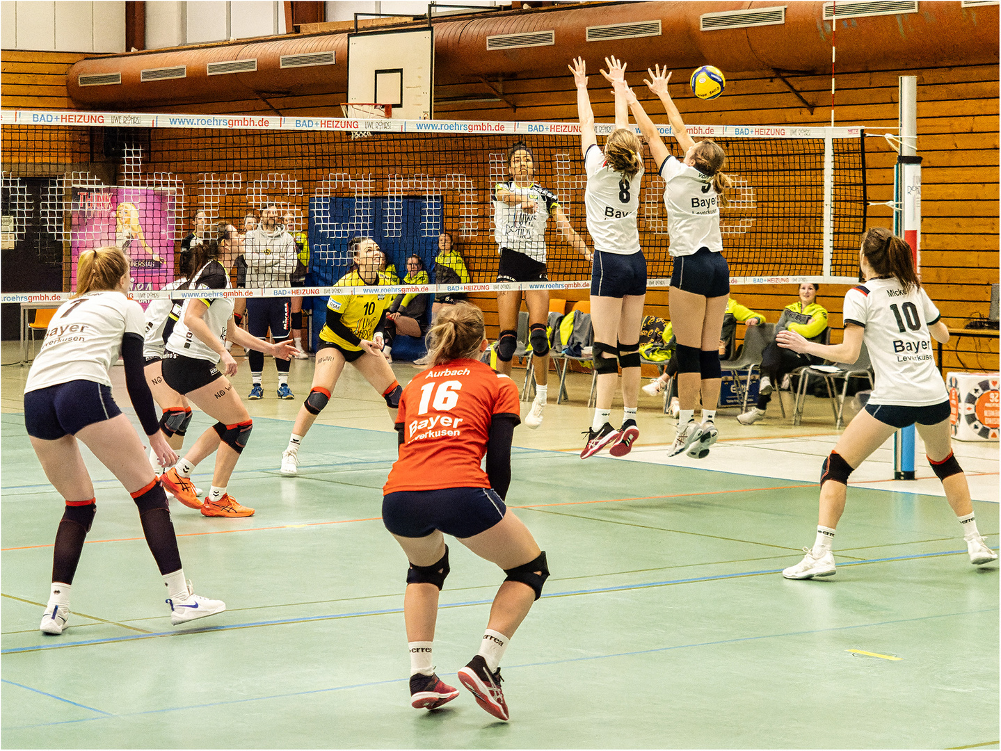 Impressionen vom Volleyball