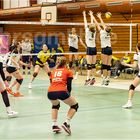 Impressionen vom Volleyball