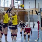 Impressionen vom Volleyball