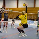 Impressionen vom Volleyball