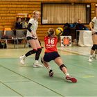 Impressionen vom Volleyball