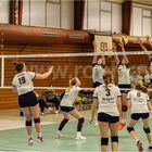 Impressionen vom Volleyball