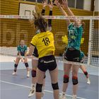 Impressionen vom Volleyball