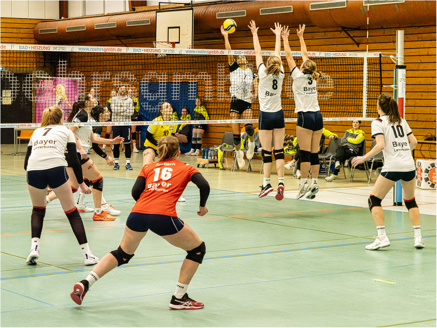 Impressionen vom Volleyball