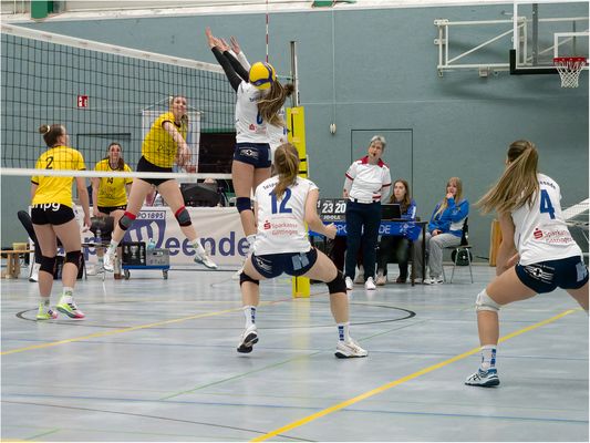 Impressionen vom Volleyball