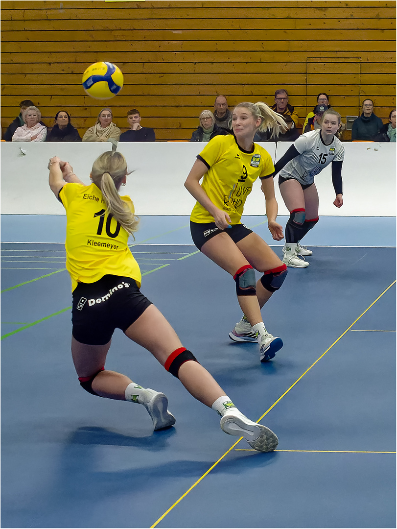 Impressionen vom Volleyball