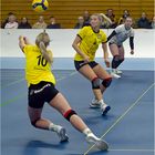 Impressionen vom Volleyball