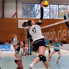 Impressionen vom Volleyball