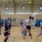 Impressionen vom Volleyball