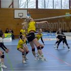 Impressionen vom Volleyball