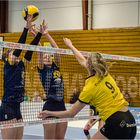 Impressionen vom Volleyball