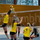 Impressionen vom Volleyball