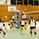 Impressionen vom Volleyball