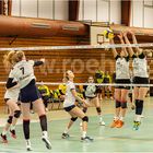 Impressionen vom Volleyball 