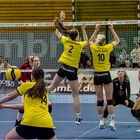 Impressionen vom Volleyball