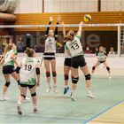 Impressionen vom Volleyball