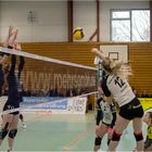 Impressionen vom Volleyball