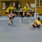 Impressionen vom Volleyball