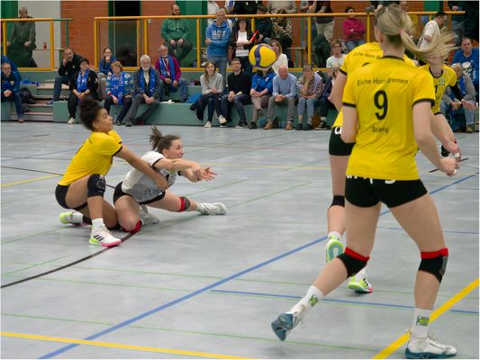 Impressionen vom Volleyball