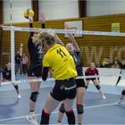 Impressionen vom Volleyball