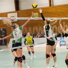 Impressionen vom Volleyball