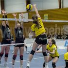 Impressionen vom Volleyball