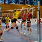 Impressionen vom Volleyball