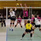 Impressionen vom Volleyball.....