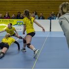 Impressionen vom Volleyball