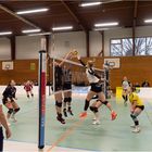 Impressionen vom Volleyball