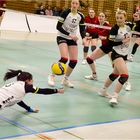 Impressionen vom Volleyball.....