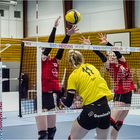 Impressionen vom Volleyball