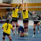 Impressionen vom Volleyball