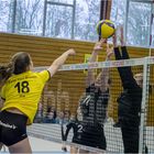 Impressionen vom Volleyball