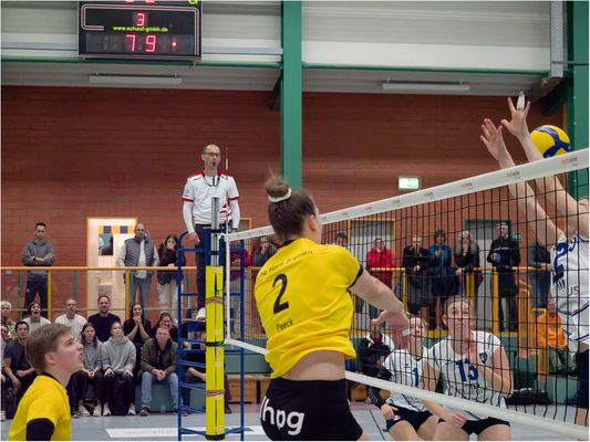 Impressionen vom Volleyball