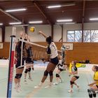 Impressionen vom Volleyball