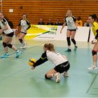 Impressionen vom Volleyball