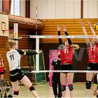 Impressionen vom Volleyball