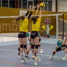 Impressionen vom Volleyball