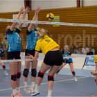 Impressionen vom Volleyball