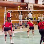 Impressionen vom Volleyball.....