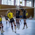 Impressionen vom Volleyball