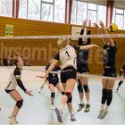 Impressionen vom Volleyball