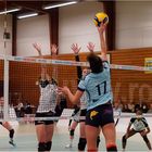 Impressionen vom Volleyball