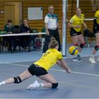 Impressionen vom Volleyball