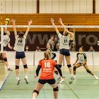 Impressionen vom Volleyball