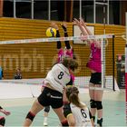 Impressionen vom Volleyball