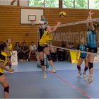 Impressionen vom Volleyball